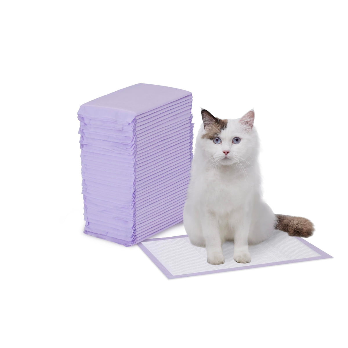 Amazon Basics Cat Litter Pee Pads, Fresh Scent, 40 Count