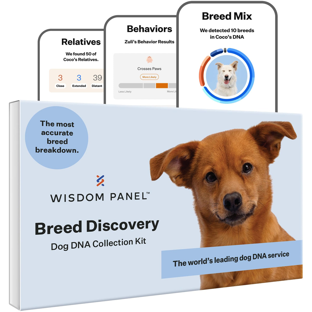 Wisdom Panel Breed Discovery Dog DNA Test Kit