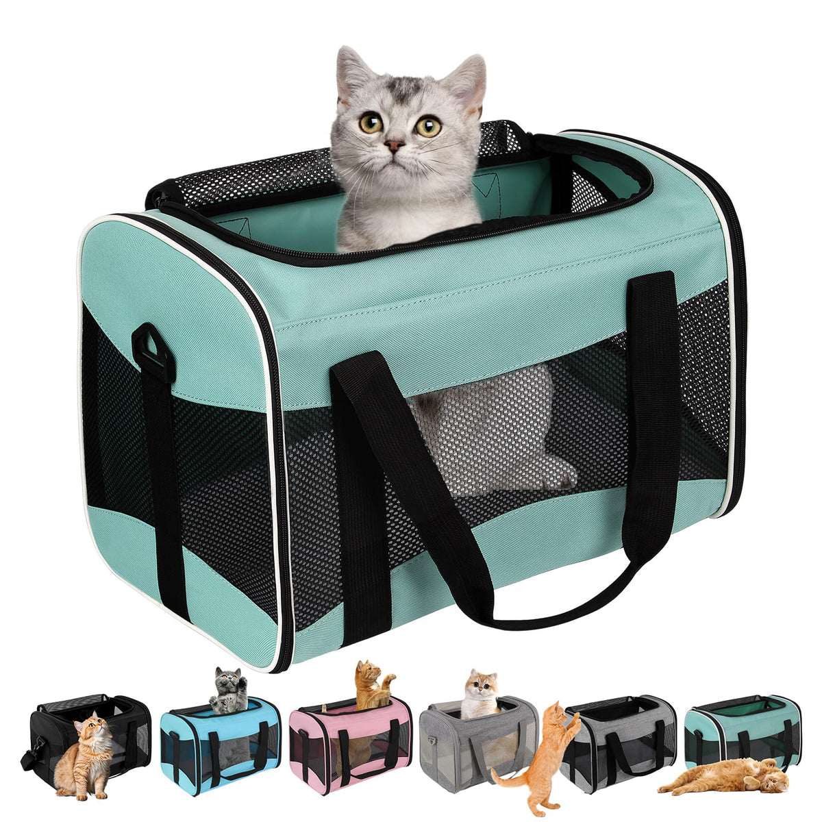 Top tasta Soft-Sided Collapsible Pet Carrier, Up to 16 lbs