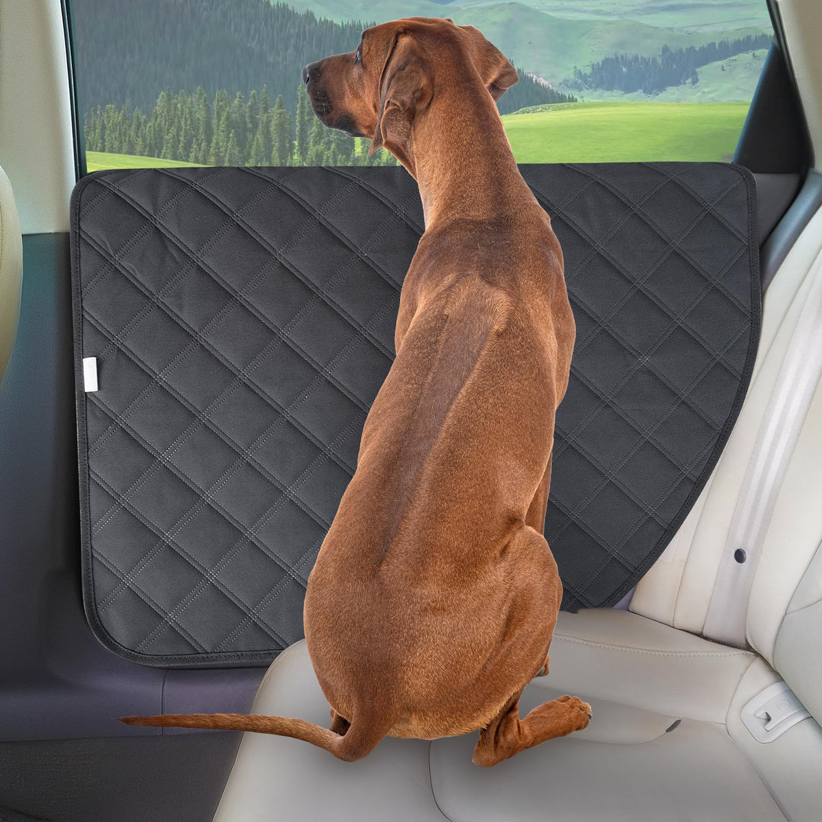 ALLANSING Dog Car Door Scratch Protector, 2 Pack