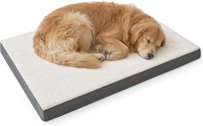 XL Orthopedic Egg Crate Foam Dog Bed with Sherpa, 44" x 32", Grey