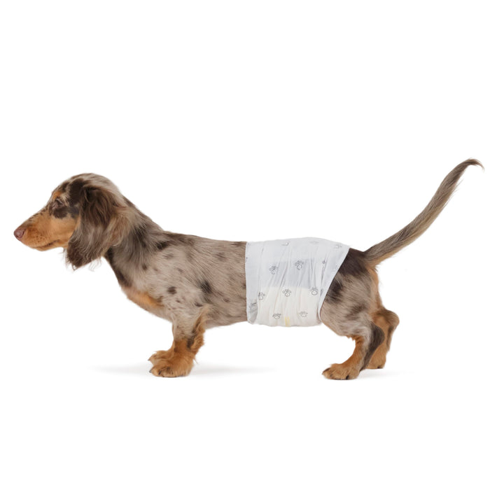Amazon Basics Disposable Male Dog Wraps, Small, 50 Pack