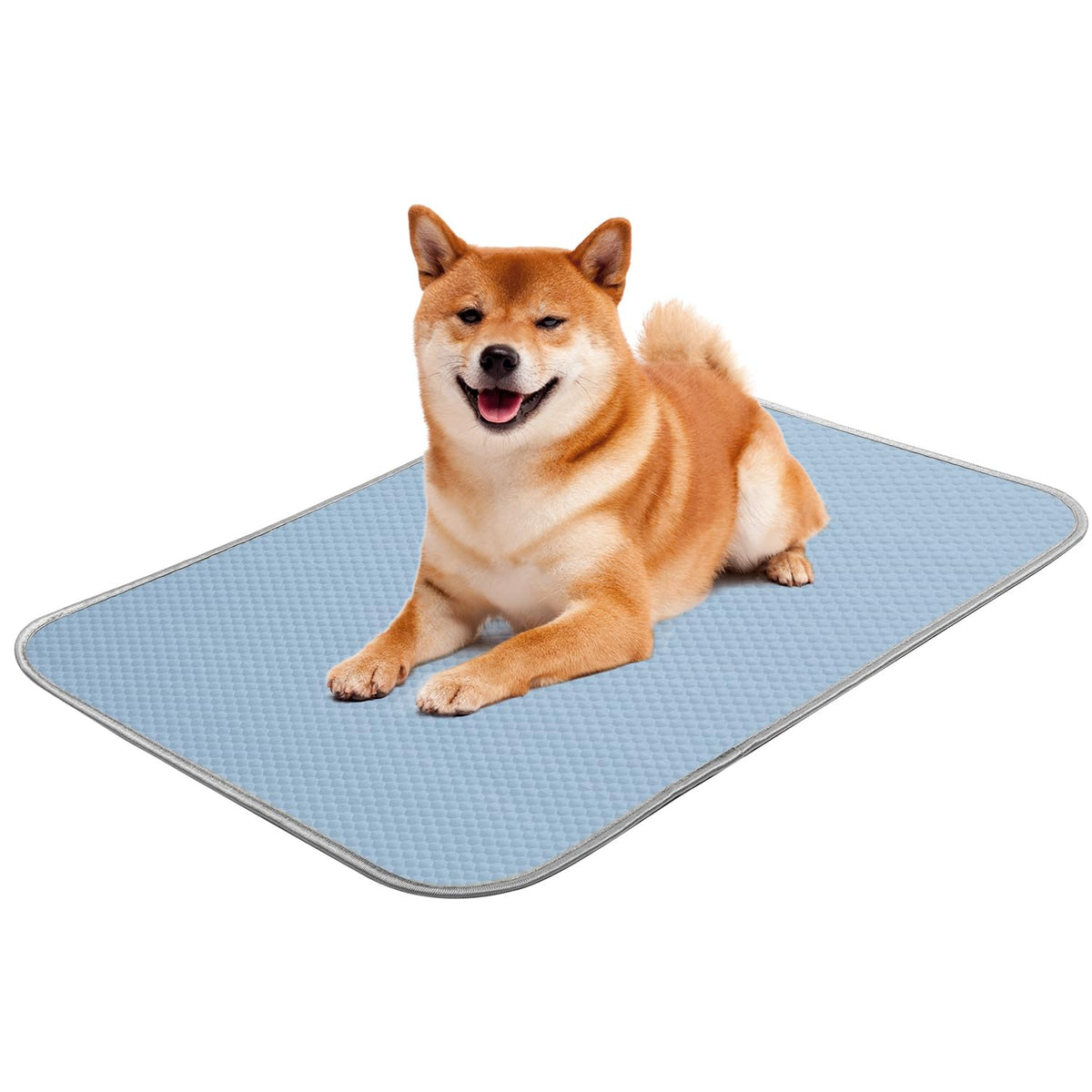 Buvlnee Washable Ice Silk Dog Cooling Mat, 24" x 18"