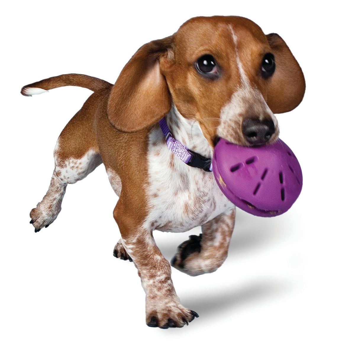 PetSafe Busy Buddy Twist 'n Treat Dispensing Dog Toy, Small