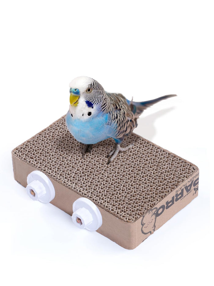 JONS NTY Paper Bird Toy Platform for Small & Medium Birds, 7.3"