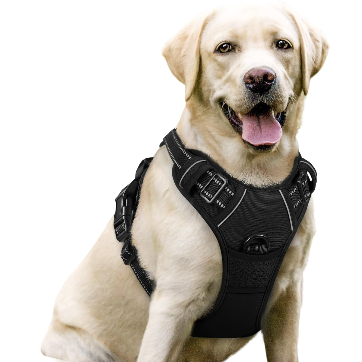 rabbitgoo No-Pull Dog Harness for Large Dogs with 2 Leash Clips