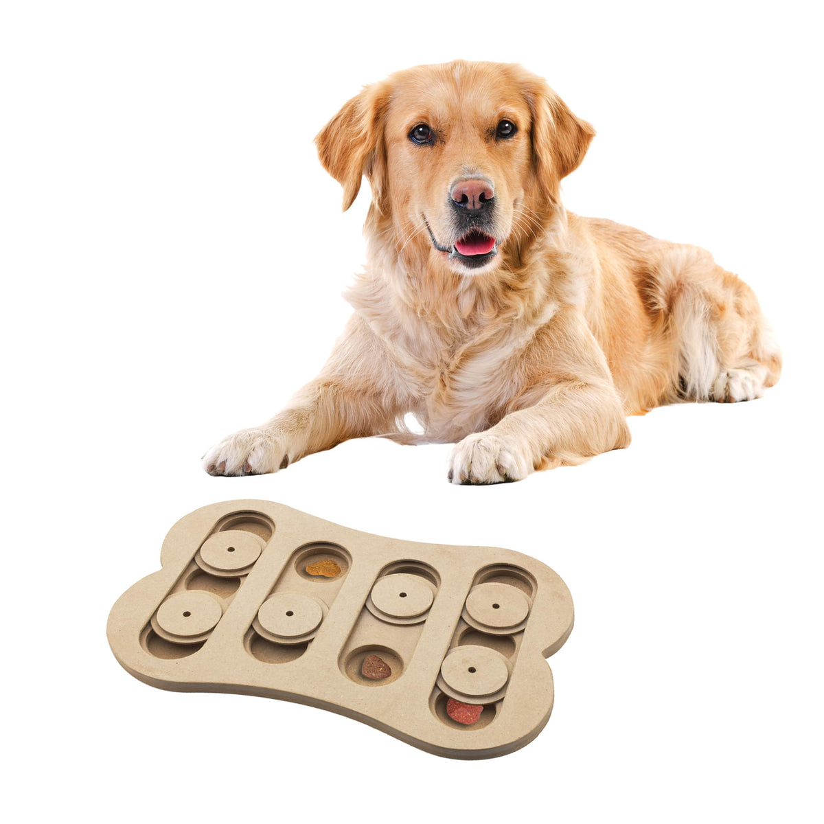 SPOT Seek-A-Treat Shuffle Bone Dog Puzzle Toy