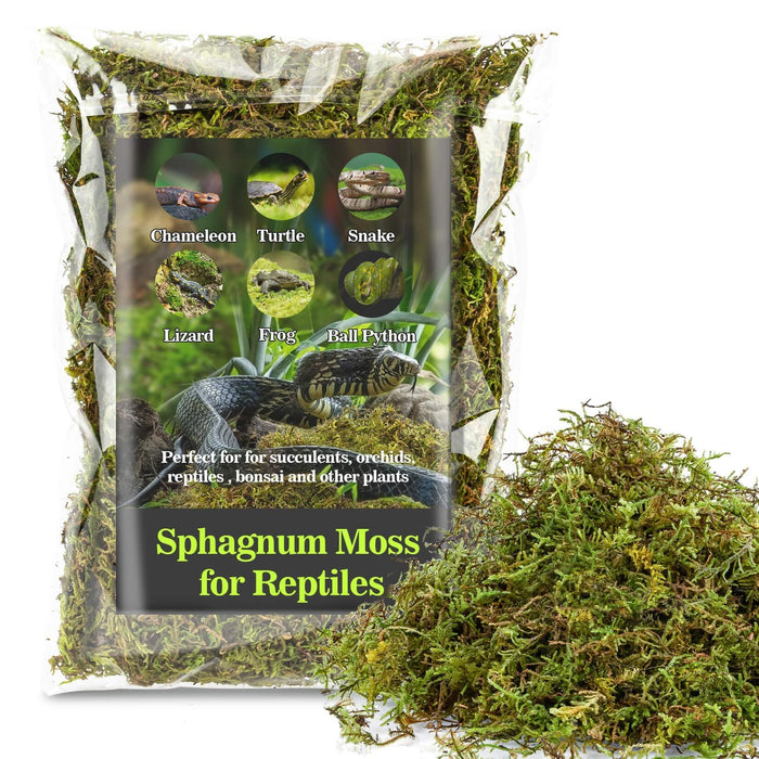 Sukh Sphagnum Moss for Reptiles - Green Terrarium Moss Substrate, 5oz