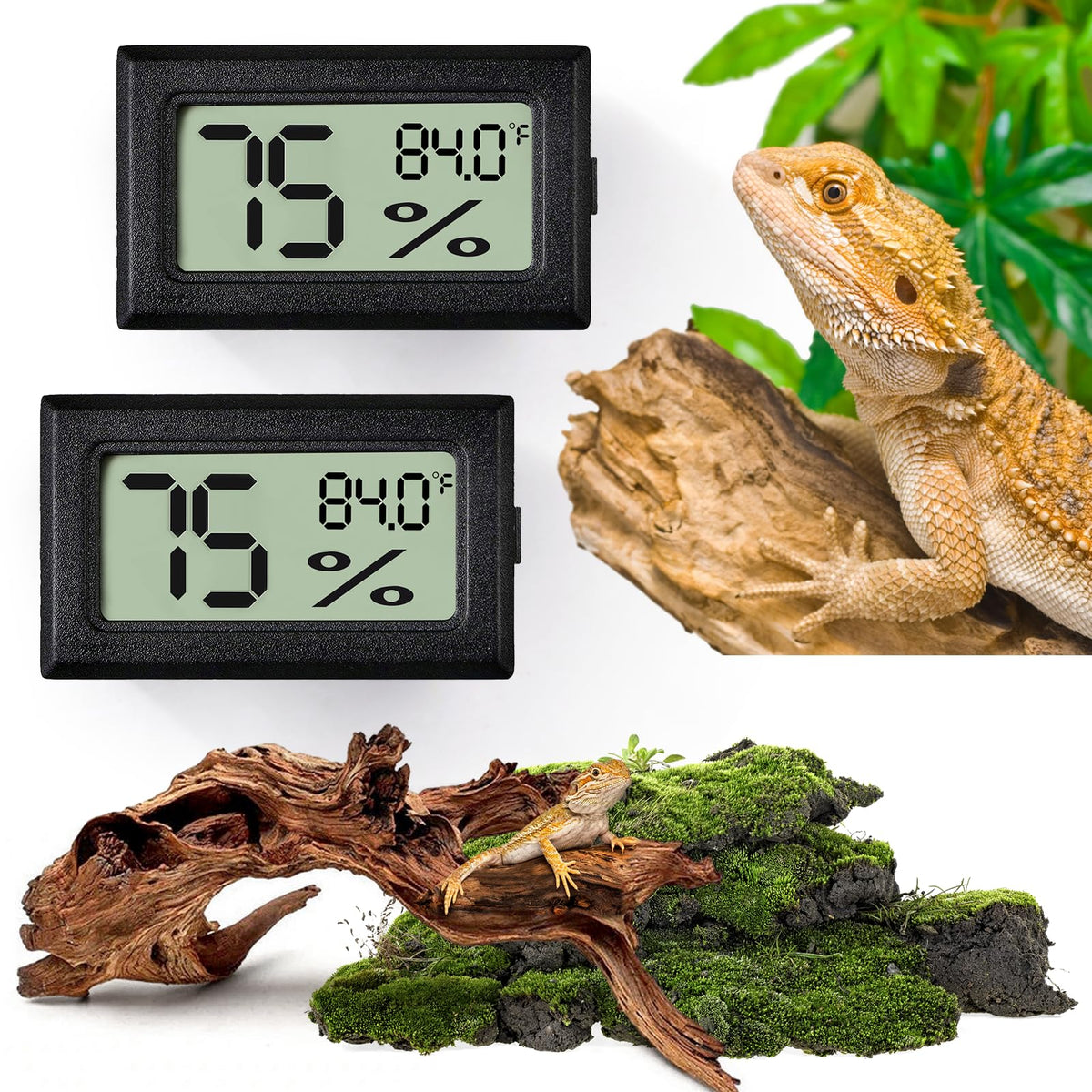 Vodolo Digital Reptile Thermometer & Hygrometer, 2 Pack