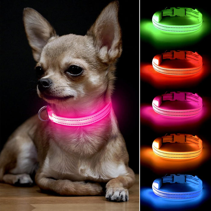 Rechargeable LED Light-Up Dog Collar, Reflective Glow Collar