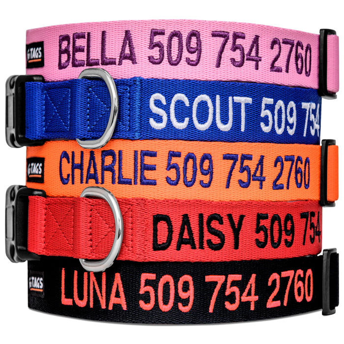 GoTags Personalized Embroidered Dog Collar